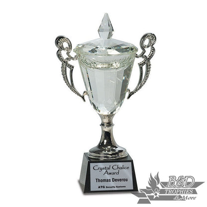 Crystal Cup Award with Silver Handles/Stem on Black Base
