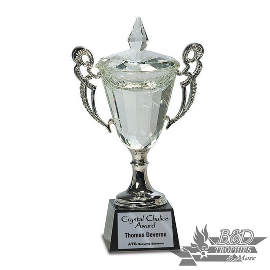 Crystal Cup Award with Silver Handles/Stem on Black Base