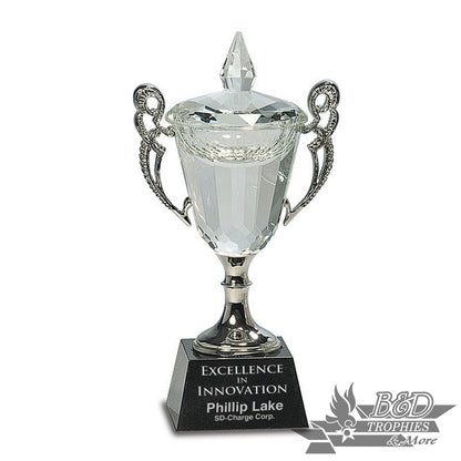 Crystal Cup Award with Silver Handles/Stem on Black Base