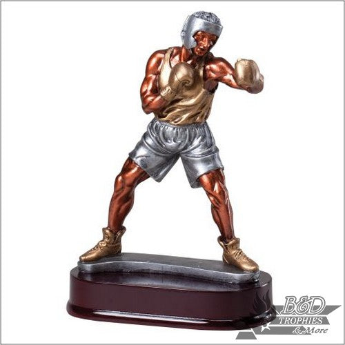 Bronzed Boxer