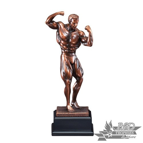 Bronzed Body Building - Male